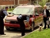 <b>El perro mas fuerte del mundo!</b>