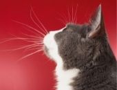<b>Mirando a la nada</b>
