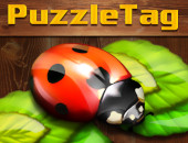 <b>Puzzle Tag</b>