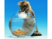 <b>Mi amigo del agua</b>