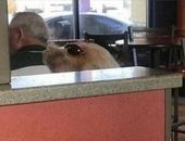 <b>¿Un perro o una señora?</b>