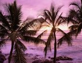 <b>Sol y playa</b>
