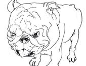 <b>The Dog</b>