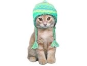 <b>Un gorro para el fríol</b>