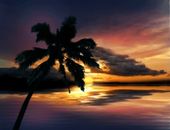 <b>Amanecer en la playa</b>