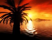 <b>Naturaleza y Paisaje 2</b>