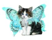 <b>Gatito con alas</b>