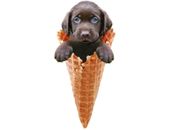 <b>Labrador en cono</b>