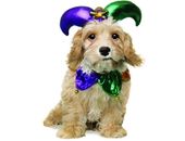 <b>Perrito bufón</b>