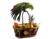 <b>Canasta de colores</b>