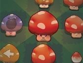 <b>Forest Pop</b>
