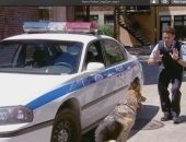 <b>El peor perro policía de todos los tiempos</b>